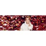 28-11-2016 - MCS Marketing - Helene Fischer - banner.jpg
